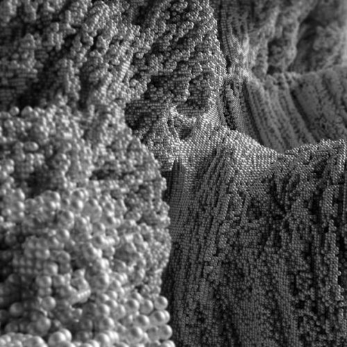 Day7.2 - Nano
