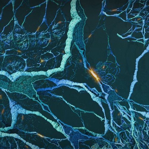 Day8 - Connexion