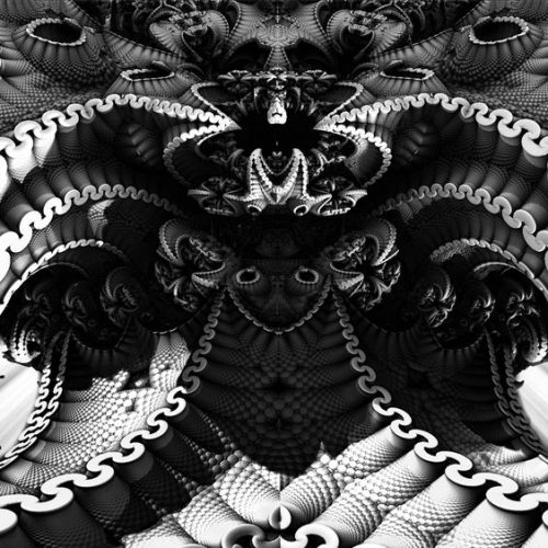 octo